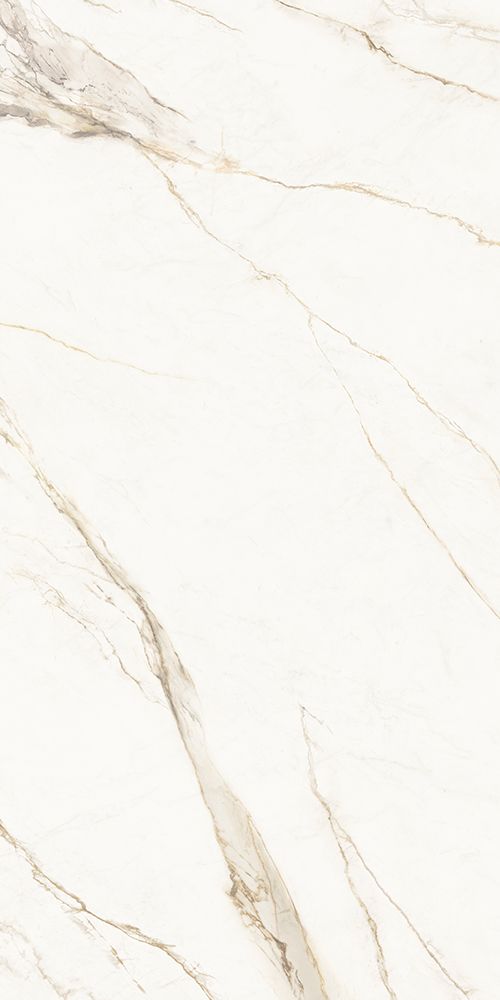 皇家鱼肚金 Calacatta Royal