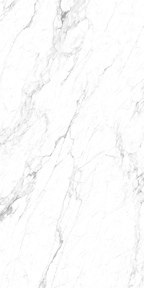 雅致白 Statuario Delicato