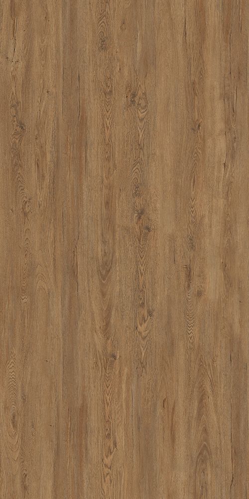 北美红枫 RedMaple