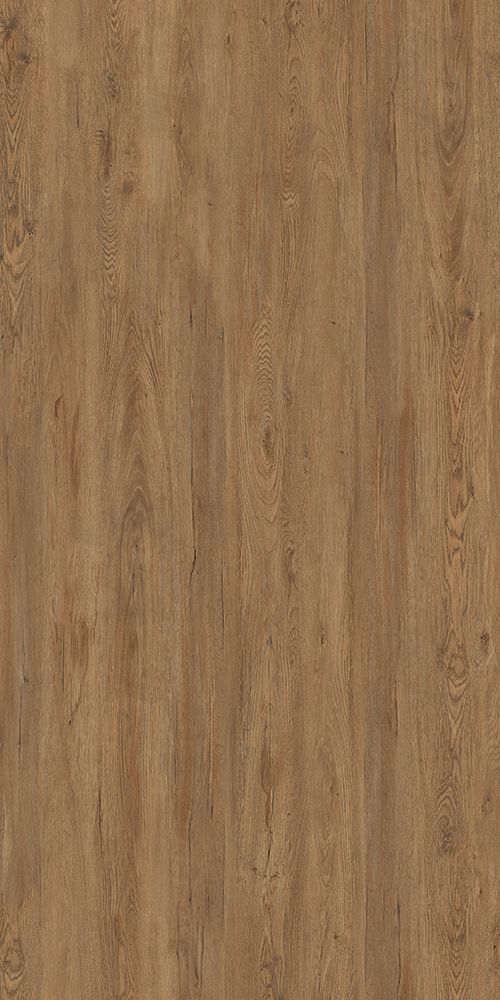 北美红枫 RedMaple