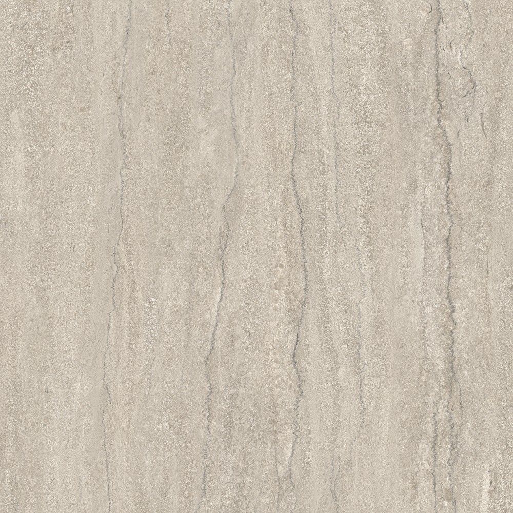 条纹波特兰灰褐 Fossile