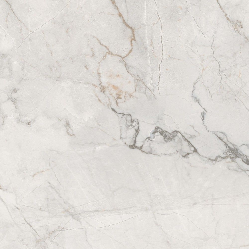 卡慕白 Camus White