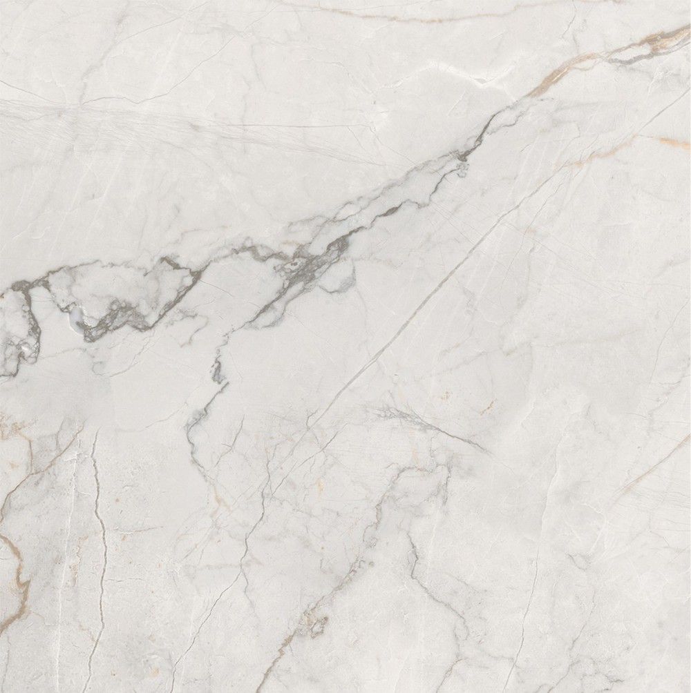 卡慕白 Camus White