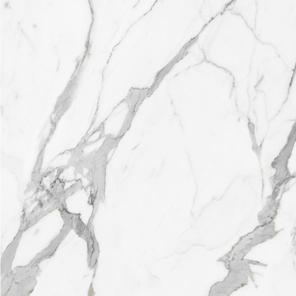 白蝴蝶 Calacatta Butterfly