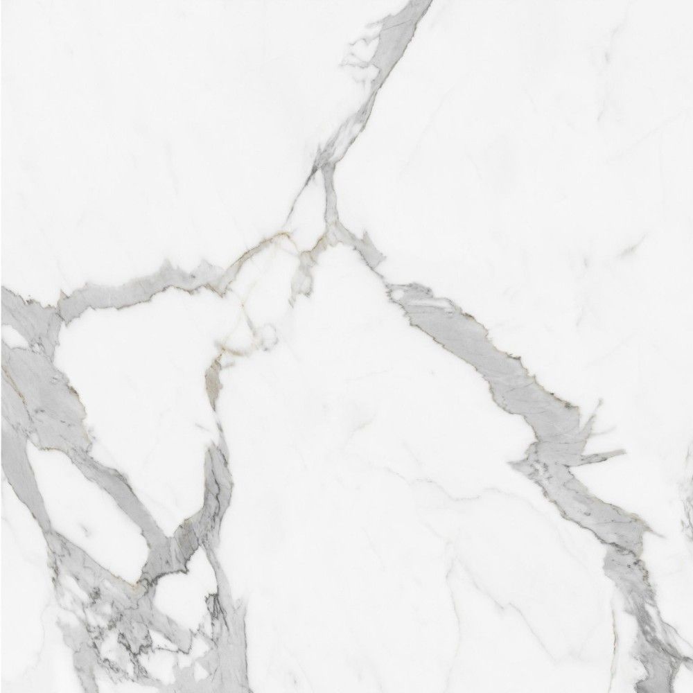 白蝴蝶 Calacatta Butterfly