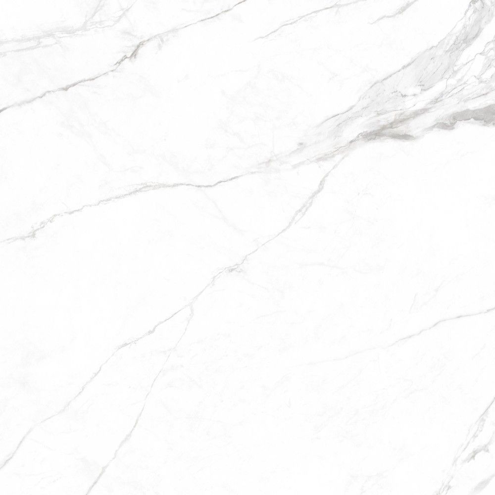 皇家鱼肚白 Royal White