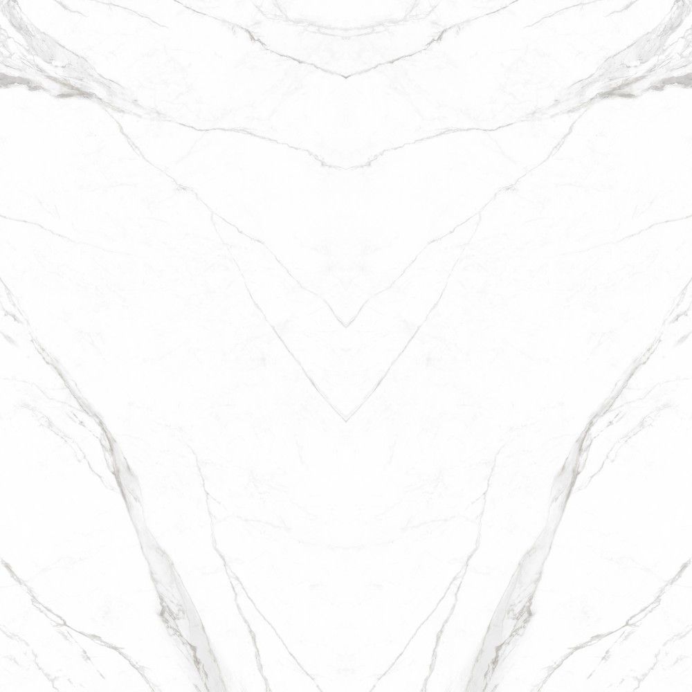 皇家鱼肚白 Royal White