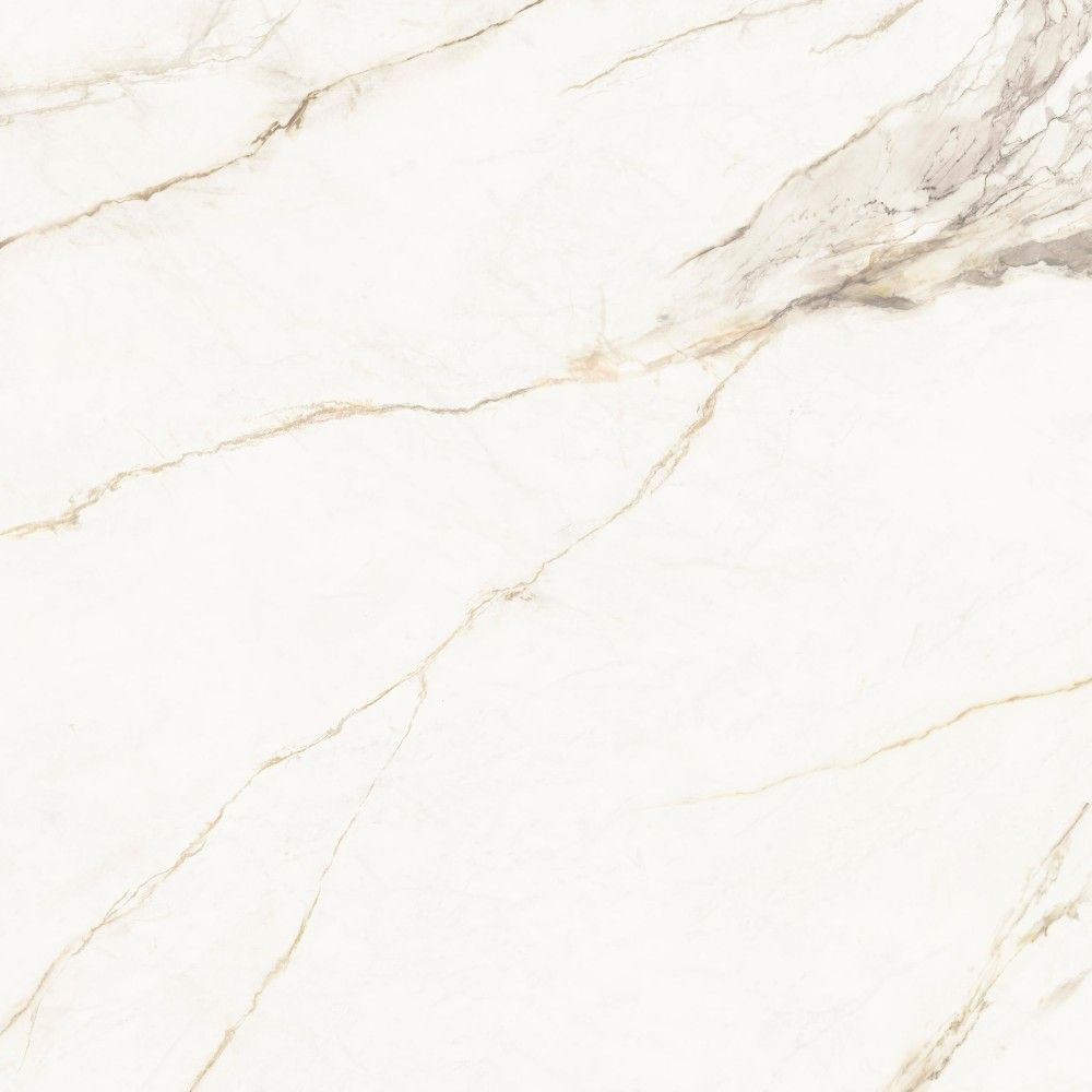 皇家鱼肚金 Calacatta Royal