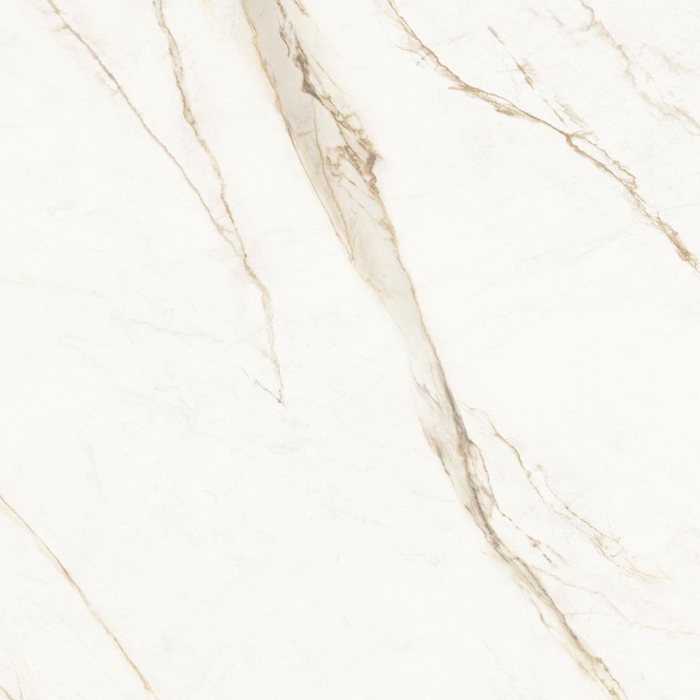 皇家鱼肚金 Calacatta Royal