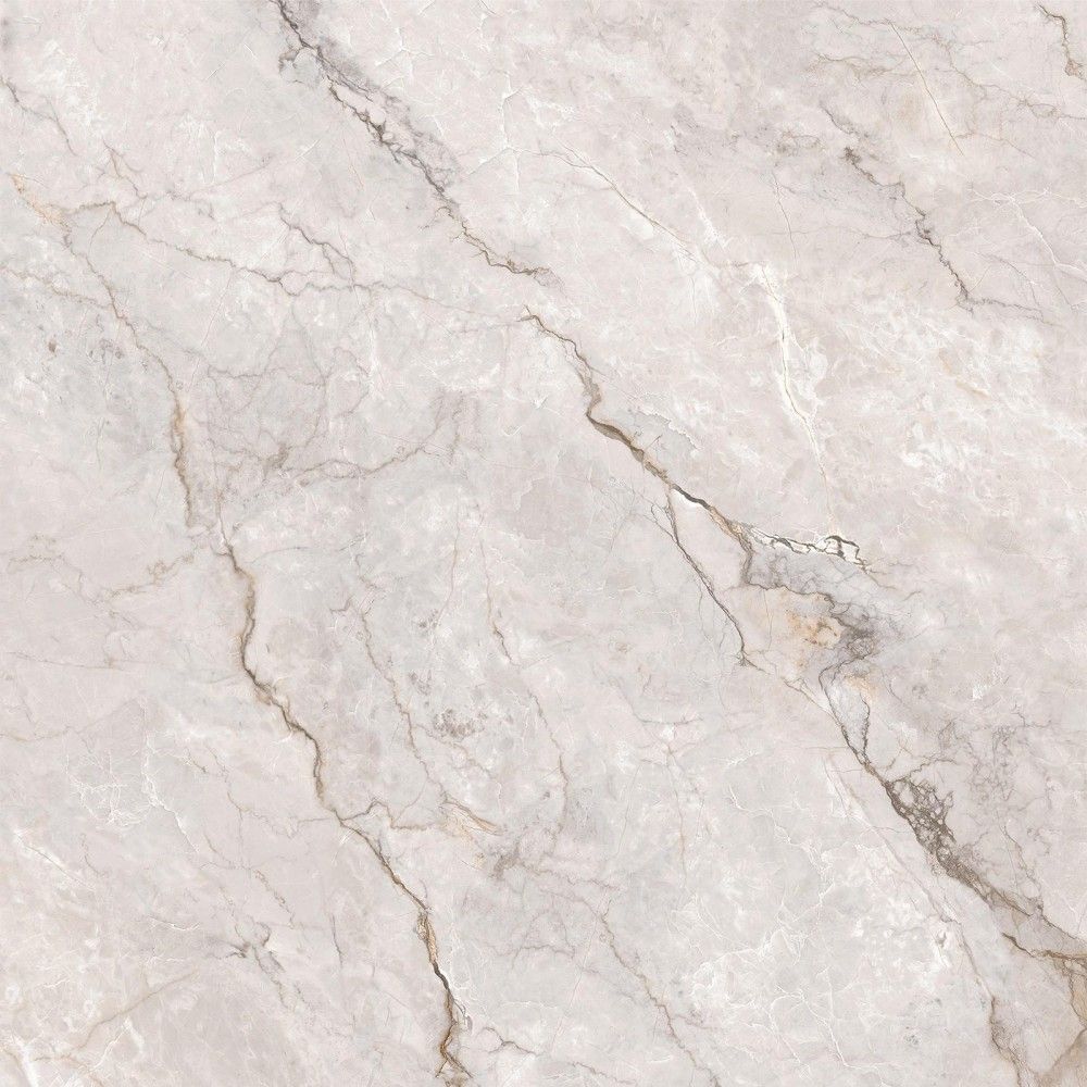 卡慕白 Camus White