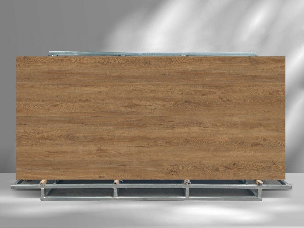 北美红枫 RedMaple