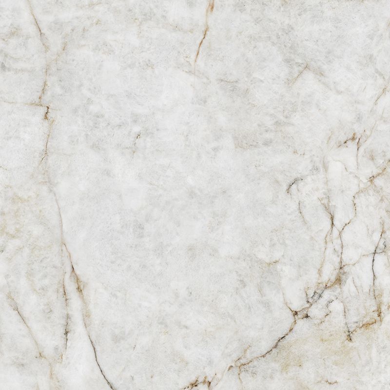 金丝碧玉 Lassi Trasparenti